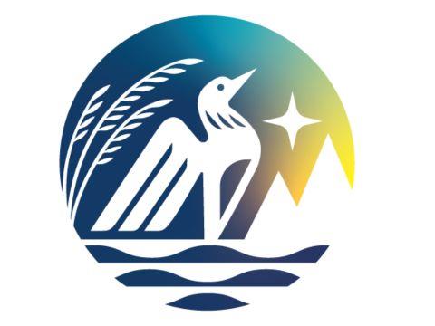 MN Truth Council Logo 